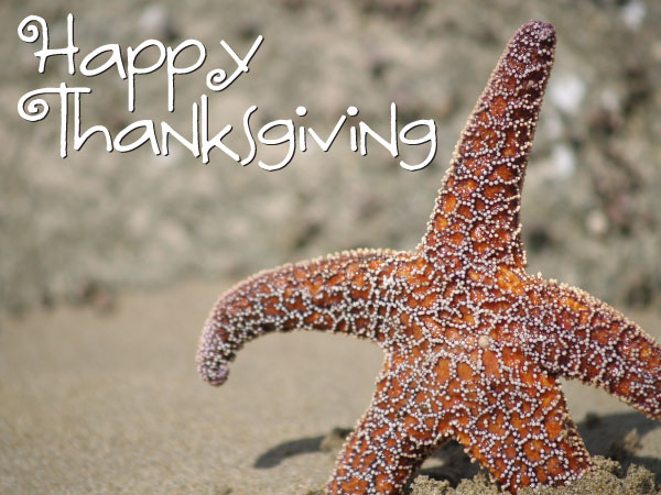 Happy Thanksgiving!!