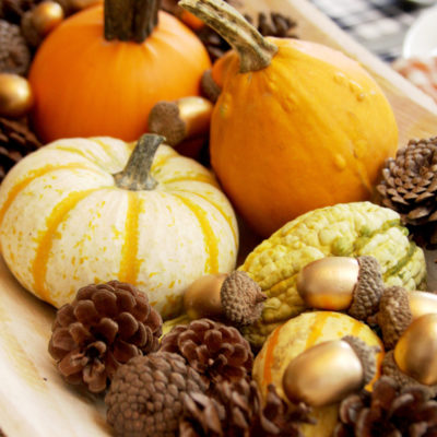 Pumpkins and Plaid – Fall Table Decor