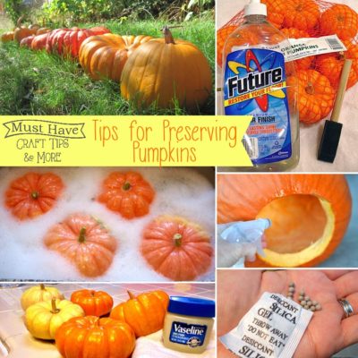 Must Have Craft Tips: Preserving Pumpkins