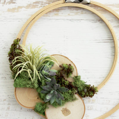 Wooden Hoop Air Plant Wreath