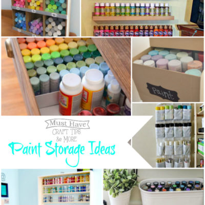 Paint Storage Ideas and Organization