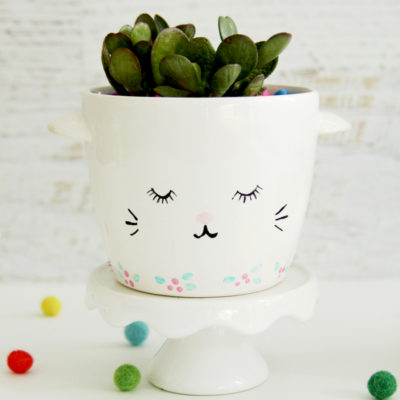 Sweet and Simple DIY Sleepy Kitten Planters