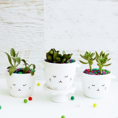 Creative Succulent and Cactus Projects to Make!