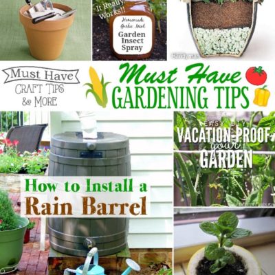 Gardening Tips and Tricks