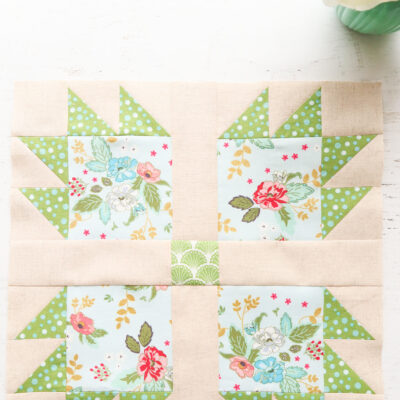 Bear Paw Block – Building Blocks Quilt