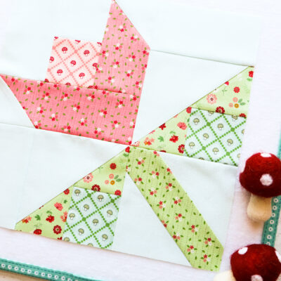 A Single Blossom and Shining Star Blocks