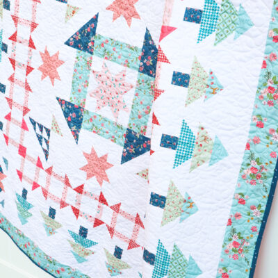 A Walk in the Woods Quilt Borders