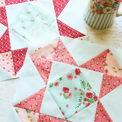 Wildflower Fields Quilt Along Block 5
