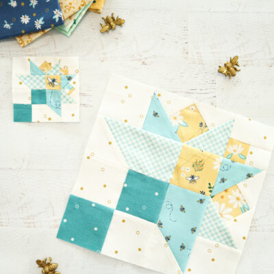 Sewcialites 2 Sew Along Block 2