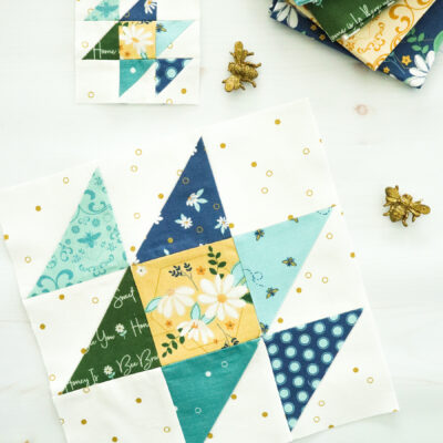 Sewcialites 2 Sew Along Block 4