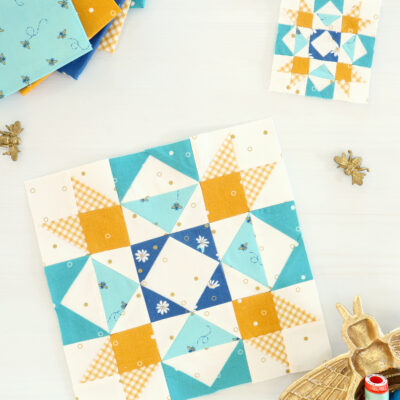 Sewcialites 2 Sew Along Block 10