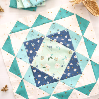 Country Daisies Sew Along Block 2