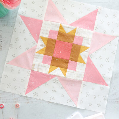 Farm Star Block Shine Together Sew Along