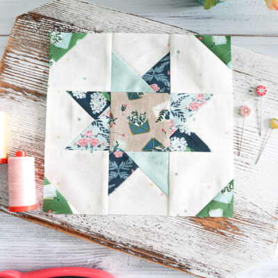 Sewcialites 3 – Block 14: Criss-Cross Star Block